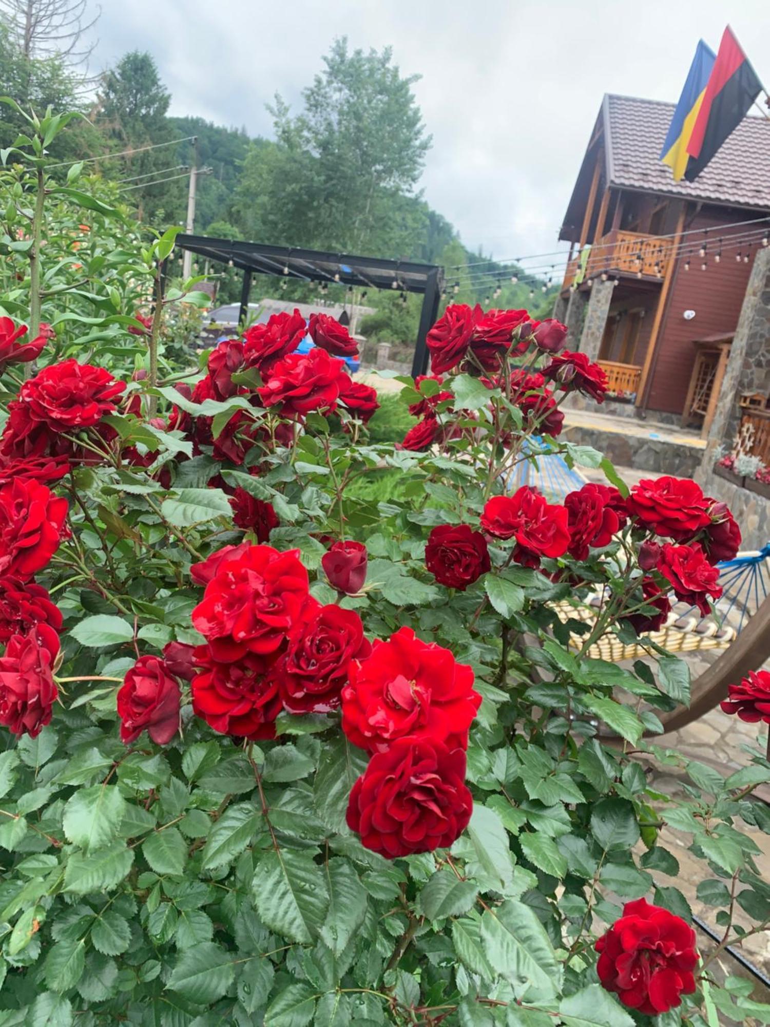 Villa Світанкове Сяйво Yaremche Exterior foto